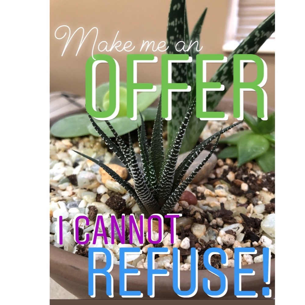 I LOVE OFFERS!